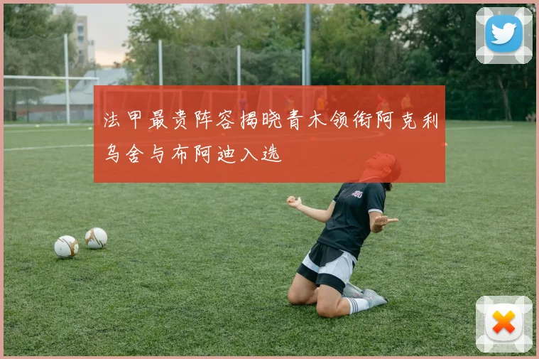 法甲最贵阵容揭晓青木领衔阿克利乌舍与布阿迪入选