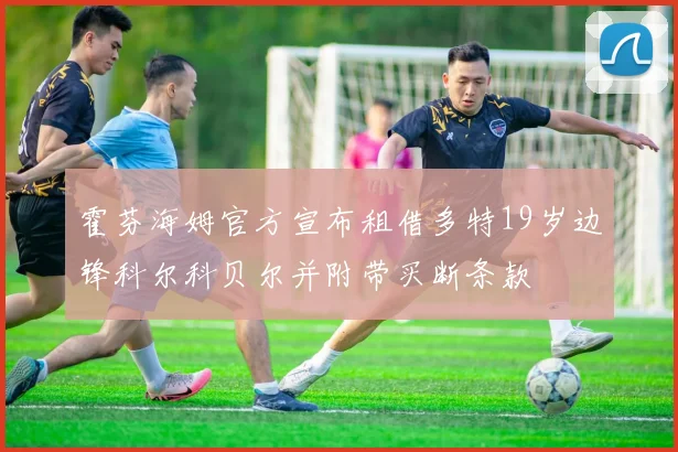霍芬海姆官方宣布租借多特19岁边锋科尔科贝尔并附带买断条款