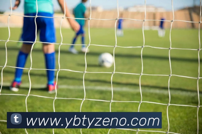 云博体育服务体系